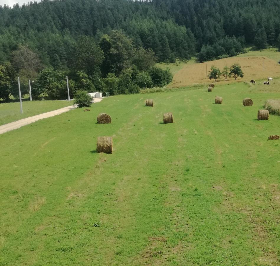 Plitvice Antico Panzió Gornji Babin Potok Kültér fotó